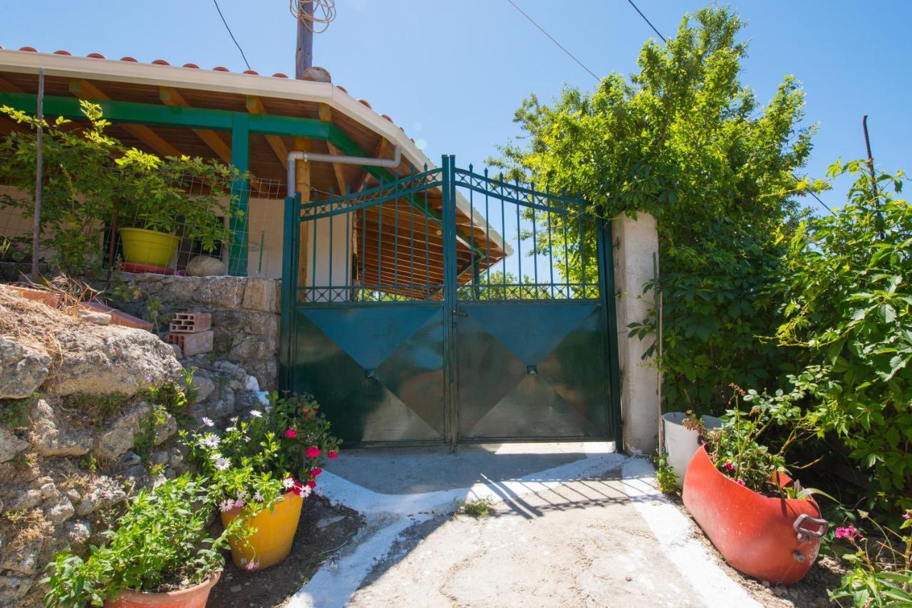 Basil & Guest House Lazarata Ngoại thất bức ảnh
